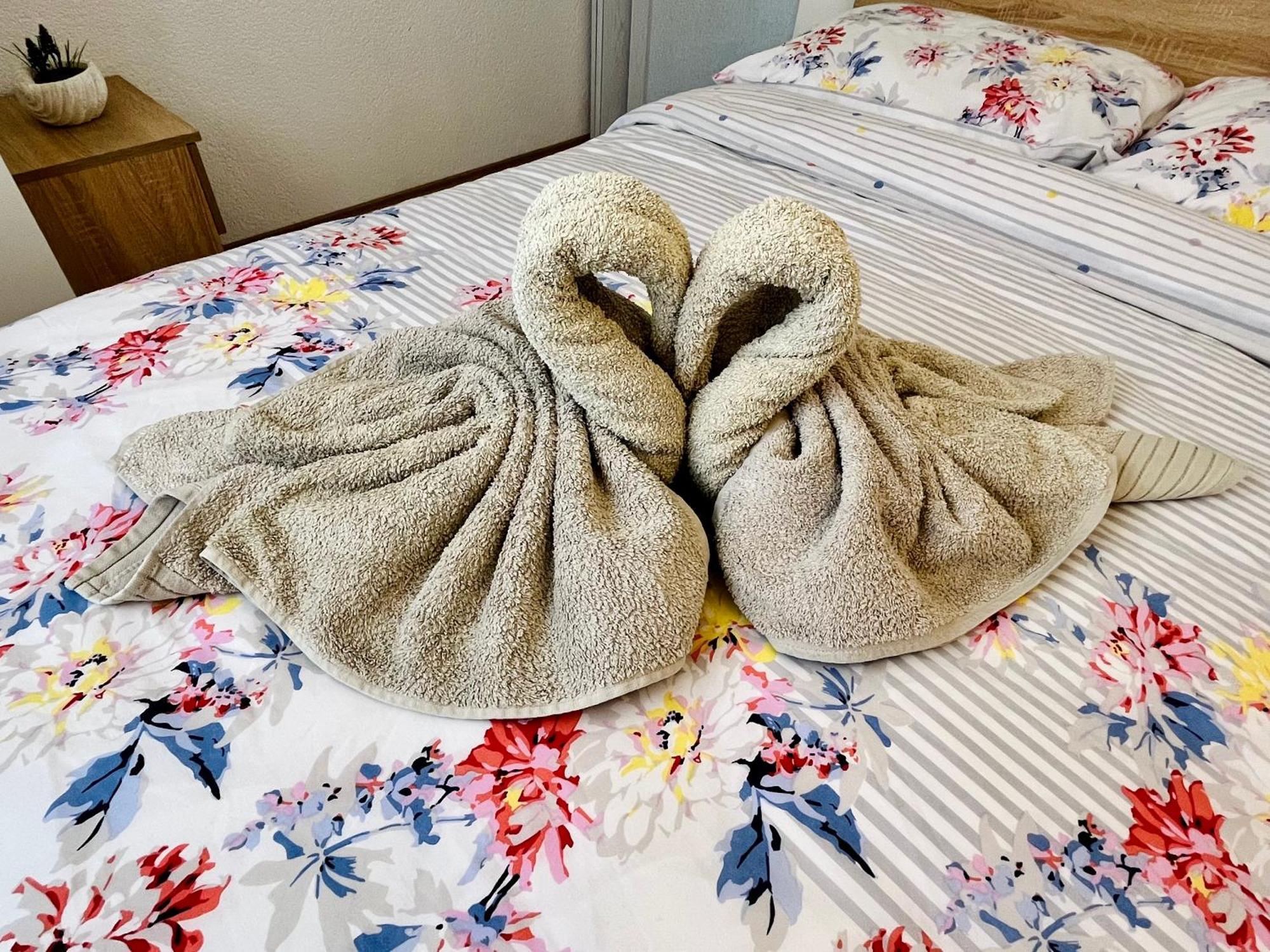 Apartments Stela Gornji Karin Room photo